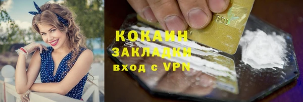 индика Алексин