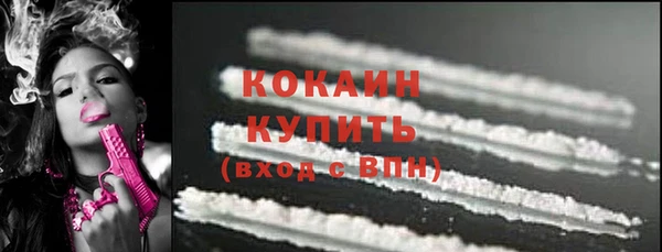 индика Алексин