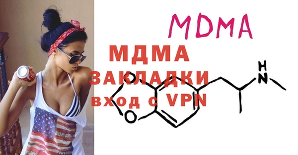 индика Алексин