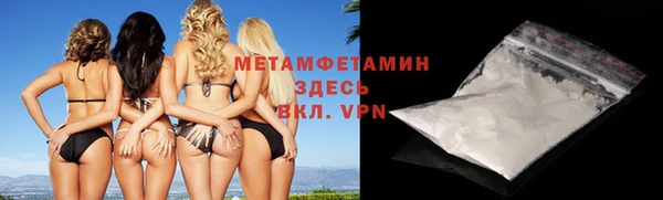 индика Алексин