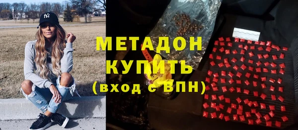 индика Алексин
