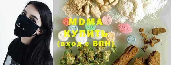 индика Алексин
