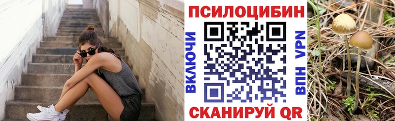 Галлюциногенные грибы мицелий  где продают наркотики  Псков 