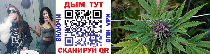 Шишки марихуана гибрид закладка Псков